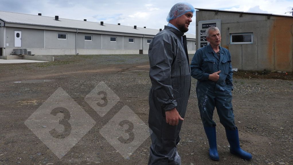 Capannone&nbsp;d'ingrasso&nbsp;in un allevamento di suini situato a Hennon, in Bretagna, che fa parte della cooperativa Cooperl.
