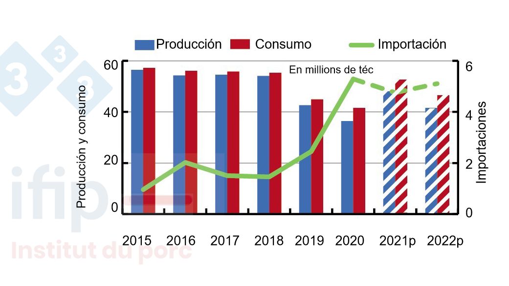 Produzione, consumo e importazione di carne suina da parte della Cina. Fonte: USDA.
