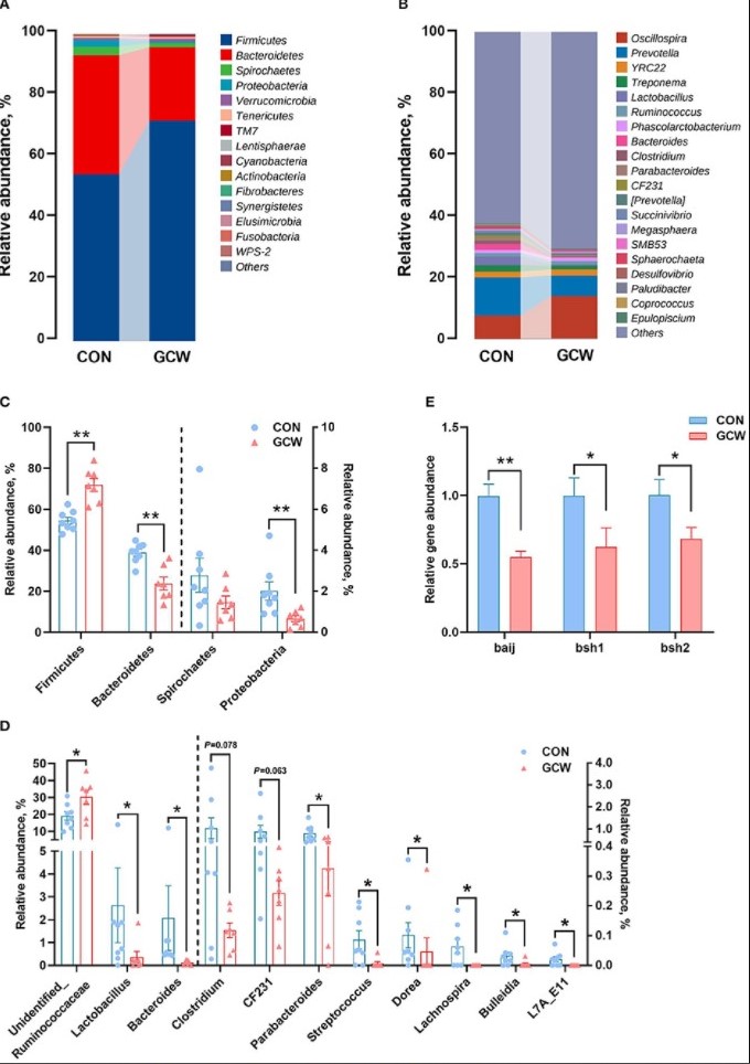 Figura 2. Profili di composizione del microbiota intestinale. Grafico a barre che mostra l&#39;abbondanza relativa di microbiota ai livelli di phylum (A) e genere (B) per i gruppi di controllo e GCW. Diversi livelli di batteri a livello del phylum (C) e del genere (D) tra i gruppi di controllo (n = 8) e GCW (n = 7). (E) Abbondanza relativa di geni coinvolti nella 7&alpha;-deidrossilazione degli acidi biliari (baij) e nell&#39;idrolisi dei sali biliari (bsh1 e bsh2) tra i gruppi di controllo (n = 15) e GCW (n = 14). I dati sono presentati come medie &plusmn; SEM. *p&lt;0,05, **p&lt;0,01.
