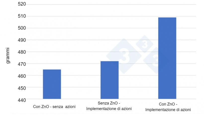 Figura 2. Incremento&nbsp;medio giornaliero ottenuto in 3 prove di 6 mesi ciascuna, da aprile 2020 a settembre 2021, con 12.000 - 12.500 suinetti per prova in diverse condizioni (ZnO senza altre azioni, senza ZnO ma con nuove strategie di alimentazione e iniziative igieniche e gestionali e ZnO combinati con nuove strategie). Fonte: Anders Rold, allevatore di suini danese, partecipante al progetto SEGES/Vilomix.
