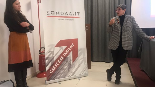 sondac 4