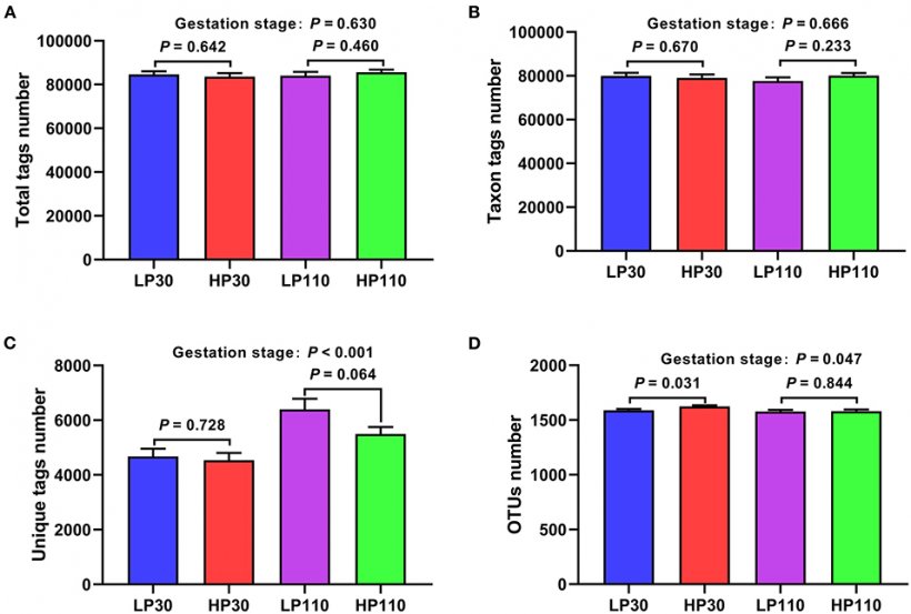 Figura 1. Raggruppamento dell&#39;unit&agrave; tassonomica operativa (OUT) e annotazione dei campioni fecali della scrofa nei giorni 30 e 110 di gestazione. (A) Numero totale di tag; (B) numero di tag taxon; (C) numero di tag univoci; (D) Numero OTU. LP30 e LP110: scrofe con scarso rendimento riproduttivo rispettivamente al giorno 30 e giorno 110 di gestazione; HP30 e HP110: scrofe con elevate prestazioni riproduttive rispettivamente al giorno 30 e giorno 110 di gestazione. Stadio di gestazione: differenza nelle variazioni tra d 30 e d 110 di gestazione. I valori sono media &plusmn; errore standard (n = 13). variations between gestation d 30 and d 110. Values are mean &plusmn; standard error (n&nbsp;= 13).
