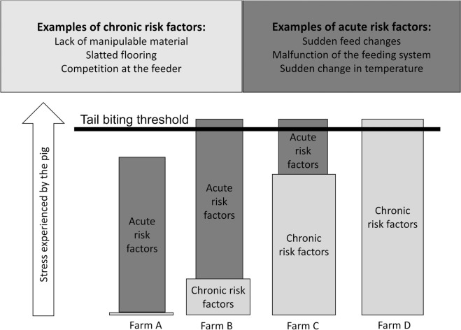 Fig. 1. Modello teorico dell&#39;effetto cumulativo dei fattori di rischio acuti e cronici sugli episodi di morsicatura delle code.
