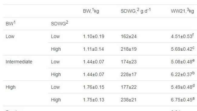Tabella 4.Effetto delle classi di peso alla nascita dei suinetti (basso, intermedio e alto) e aumento di peso giornaliero durante l'allattamento (basso o alto) sul peso allo svezzamento, aumento di peso giornaliero durante la fase di svezzamento e peso vivo alla fine della fase di svezzamento