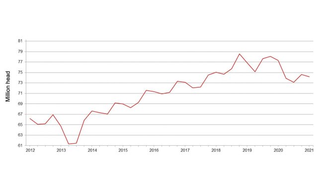Censimento trimestrale dei suini negli Stati Uniti - 1° dicembre. Fonte: USDA.
