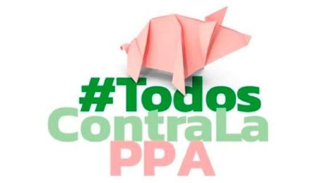 Prevenzione PSA America