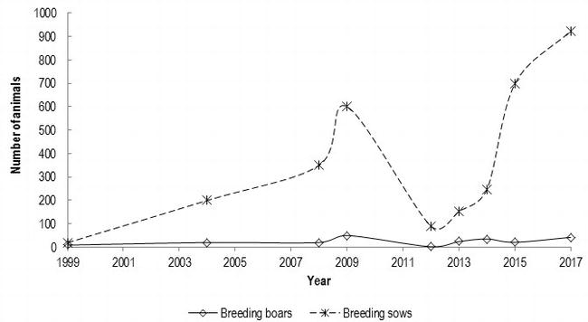 Figura 1. Dinamica cronologica della popolazione della razza suina Mangalitsa, che presenta il numero di scrofe e verri all&#39;anno, a partire dall&#39;anno di costituzione del Libro Genealogico.
