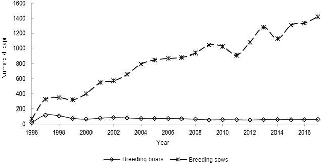 Figura 1. Censimento della razza suina Guascone, che presenta il numero di scrofe e verri all&#39;anno, a partire dall&#39;anno di costituzione del Libro Genealogico.
