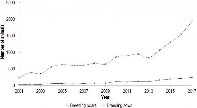 Figura 1. Censimento della razza suina Nero di&nbsp;Slavonia, che presenta il numero di scrofe e verri all&#39;anno.
