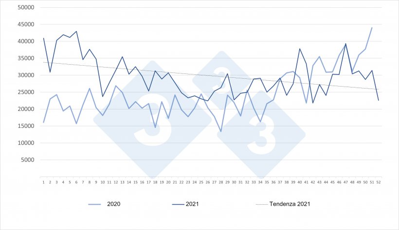 Evoluzione delle importazioni settimanali spagnole di suinetti olandesi per gli anni 2020 e 2021. Fonte: 333 su dati RVO.
