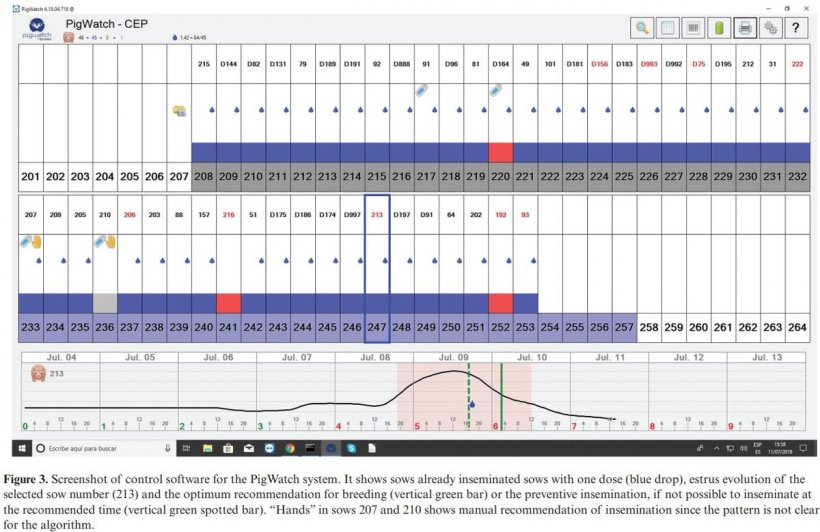 Screenshot del software PigWatch che mostra le scrofe gi&agrave; inseminate con una dose (goccia blu), l&#39;evoluzione dell&#39;estro delle scrofe in analisi (213) e il consiglio ottimale per l&#39;inseminazione (barra verticale verde) o dell&#39;inseminazione preventiva se non fosse possibile l&#39;inseminazione nell&#39;orario proposto (barra verticale verde tratteggiata). &quot;Con le mani&quot; la scrofa 207 e 210 mostra la tecnica manuale in assenza di un algoritmo.
