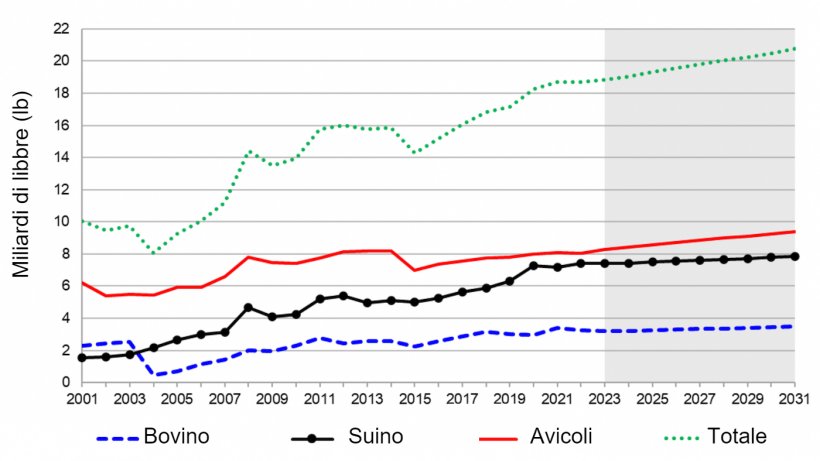 Esportazioni di carne statunitensi per specie. Dal 2021 alla sua stima nel 2031. Nota: l&#39;area ombreggiata rappresenta una stima. Fonte: USDA. 5 novembre 2021&nbsp;
