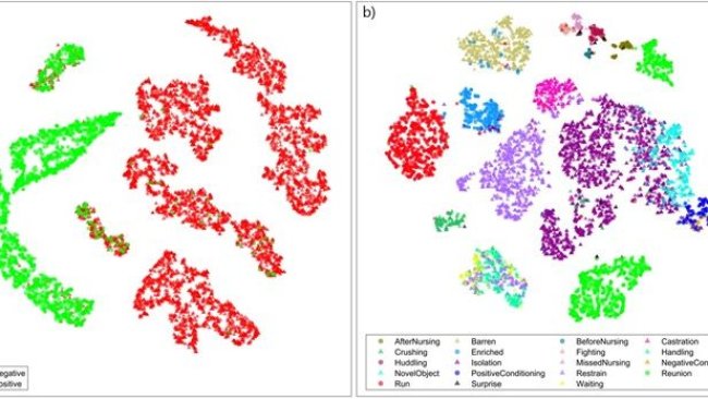 Classificazione dei richiami alla valenza e contesto di produzione in base a t-SNE. Incorporamento t-SNE di (a) valenza (incorporando perplessità = 50) e (b) contesto (incorporando perplessità = 20) classificando le ultime attivazioni del livello completamente connesso della rete neurale per ogni spettrogramma (i grafici t-SNE visualizzano la probabilità che due punti siano vicini in uno spazio multivariato originale). I triangoli indicano le vocalizzazioni di valenza negativa, mentre i cerchi indicano quelle positive (vedi Testo supplementare per maggiori informazioni sulle impostazioni utilizzate per questa figura).