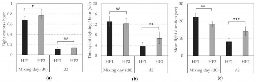 Comportamenti agonistici reciproci secondo la linea genetica (HP1, HP2). Media prevista trasformata all&#39;indietro (CI) (a) numero di combattimenti all&#39;ora, (b) tempo trascorso a combattere all&#39;ora (in sec) e (c) durata media del combattimento (in sec) su d0 (miscelazione) e d2. **, ***; Le medie differiscono significativamente (** p &lt; 0,010, *** p &lt; 0,001); &dagger; Le medie tendono a differire (p &lt; 0,10) tra le linee genetiche per lo stesso giorno di osservazione; ns: non significativo.
