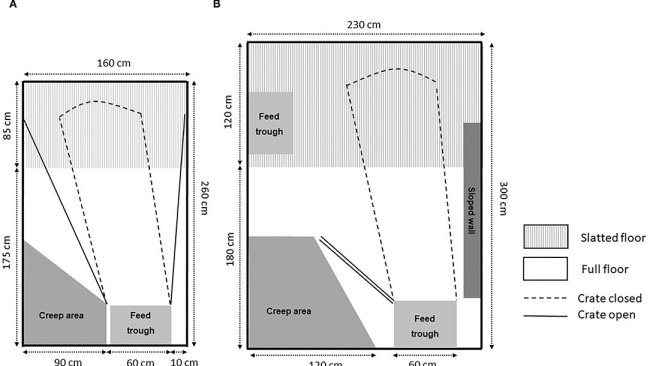 Figura 1. Esempi di recinti con confinamento temporaneo: (A) gabbia apribile e (B) box SWAP
