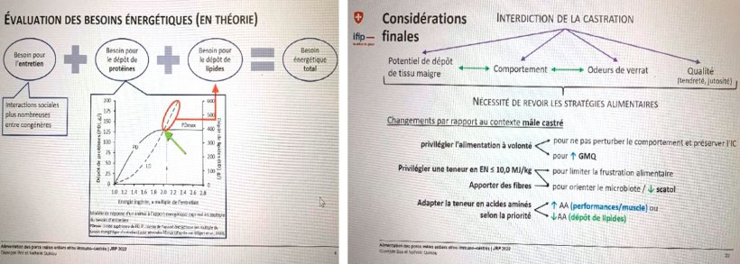 Valutazione dei&nbsp;fabbisogni&nbsp;energetici&nbsp;teorici.
