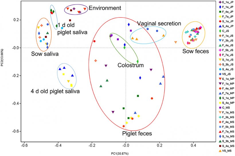 Figura 2. Risultati dell&#39;analisi PCoA della diversit&agrave; microbica dei campioni di suini&nbsp;Jinfen White e Mashen. Risultati dell&#39;analisi delle coordinate principali (PCoA) della saliva della scrofa e del suinetto, dell&#39;ambiente dell&#39;ambiente&nbsp;parto, delle feci della scrofa e del suinetto, del colostro e della secrezione vaginale della scrofa. La coordinata principale 1 (PC1) rappresenta la quantit&agrave;&nbsp;del microbiota, la coordinata principale 2 (PC2) rappresenta l&#39;uniformit&agrave; della comunit&agrave; microbica.
