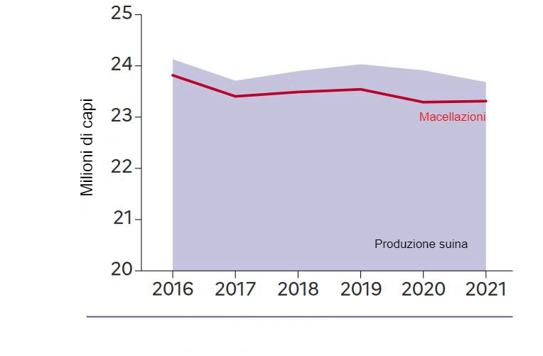 Nel 2021, cala la produzione di suini.