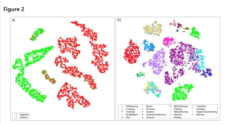 Classificazione dei richiami alla valenza e contesto di produzione in base a t-SNE. Incorporamento t-SNE di (a) valenza (incorporando perplessit&agrave; = 50) e (b) contesto (incorporando perplessit&agrave; = 20) classificando le ultime attivazioni dello strato completamente connesso della rete neurale per ogni spettrogramma (i grafici t-SNE visualizzano la probabilit&agrave; che due punti siano vicini in uno spazio multivariato originale). I triangoli indicano le vocalizzazioni di valenza negativa, mentre i cerchi indicano quelle positive (vedi Testo supplementare per maggiori informazioni sulle impostazioni utilizzate per questa figura).
