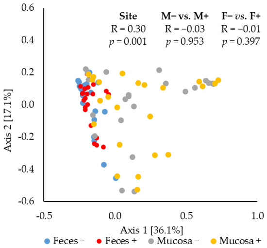 MICROBIOTA