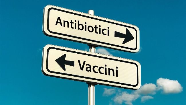 L'intensificazione della produzione di mangimi e l'emergere di nuovi sistemi di produzione (come "Allevati senza antibiotici" o sistemi biologici) ha portato all'emergere, o al riemergere, di agenti patogeni. Queste nuove tendenze sociali, insieme al desiderio di ridurre l'uso di antimicrobici nella produzione animale, sottolineano l'importanza di migliorare i vaccini esistenti e/o sviluppare nuove strategie di vaccinazione per combattere i patogeni emergenti o riemergenti.