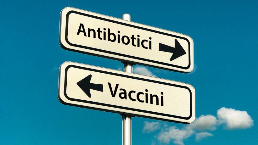 L&#39;intensificazione della produzione di mangimi e l&#39;emergere di nuovi sistemi di produzione (come &quot;Allevati senza antibiotici&quot; o sistemi biologici) ha portato all&#39;emergere, o al riemergere, di agenti patogeni. Queste nuove tendenze sociali, insieme al desiderio di ridurre l&#39;uso di antimicrobici nella produzione animale, sottolineano l&#39;importanza di migliorare i vaccini esistenti e/o sviluppare nuove strategie di vaccinazione per combattere i patogeni emergenti o riemergenti.
