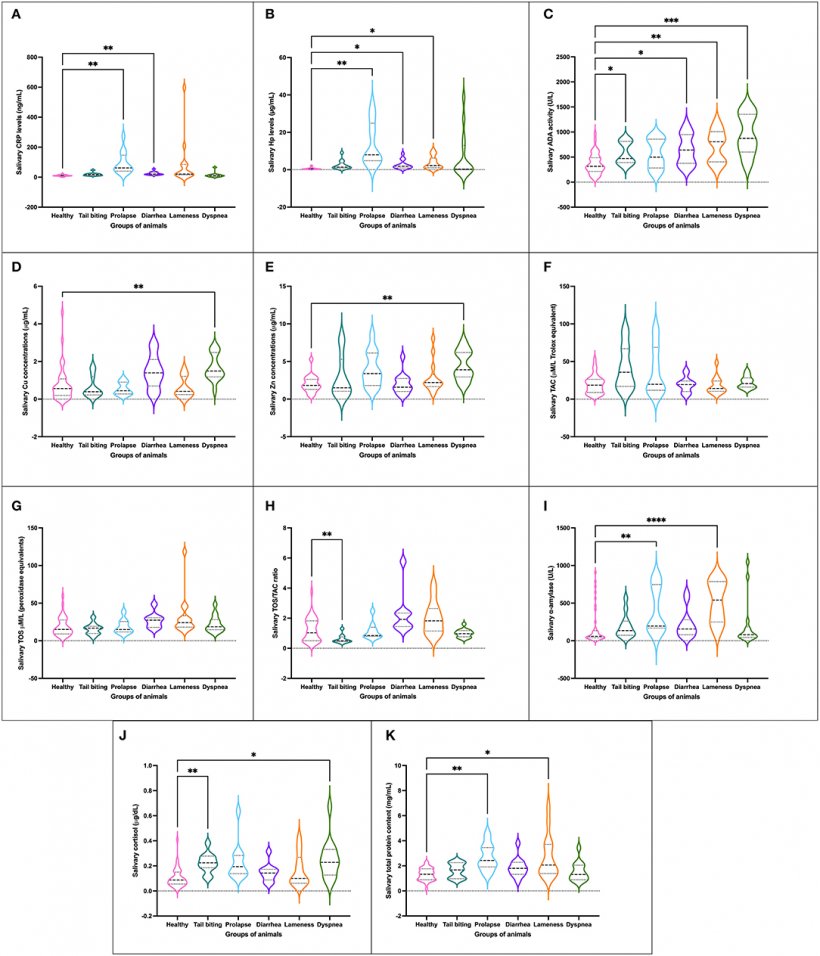 Figura 1. Concentrazione degli analiti salivari studiati [CRP (A), Hp (B), ADA (C), Cu (D), Zn (E), TAC (F), TOS (G), rapporto TOS/TAC (H ), alfa-amilasi salivare (I), cortisolo (J) e TP (K)] in suini sani (n = 40) e animali affetti da una condizione patologica (lesioni da morsicatura n = 13, prolasso rettale n = 13, diarrea n = 13, zoppia n = 14 o dispnea n = 14). Grafico che mostra la distribuzione della popolazione (a seconda che la trama si stia allargando o restringendo), la mediana (linea orizzontale centrale), il 25&deg; e il 75&deg; percentile (linee orizzontali non centrali all&#39;interno della trama), massimo e minimo (bordi della figura ). Le differenze statistiche sono indicate da *, **, *** e **** rispettivamente per p &lt; 0,05, p &lt; 0,01, p &lt; 0,001 e p &lt; 0,0001. CRP, proteina C-reattiva; Hp, aptoglobina; ADA, adenosina deaminasi; TAC, capacit&agrave; antiossidante totale; TOS, stato ossidante totale; TP, proteine totali.
