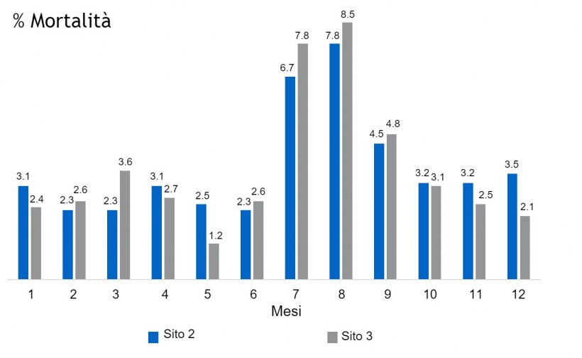 Figura 2. % di mortalit&agrave; nei capannoni dei siti&nbsp;2 e 3
