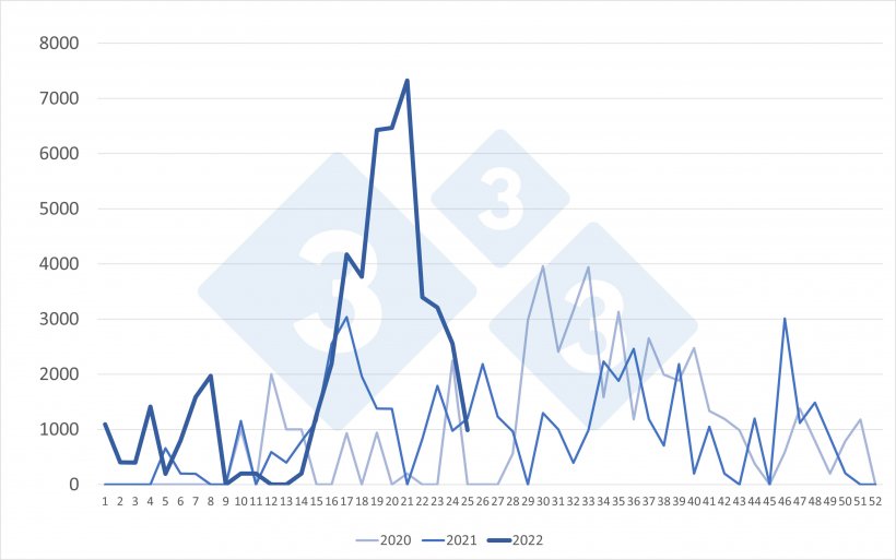 Importazioni settimanali di suini olandesi (capi). Fonte: 333 su dati RVO.
