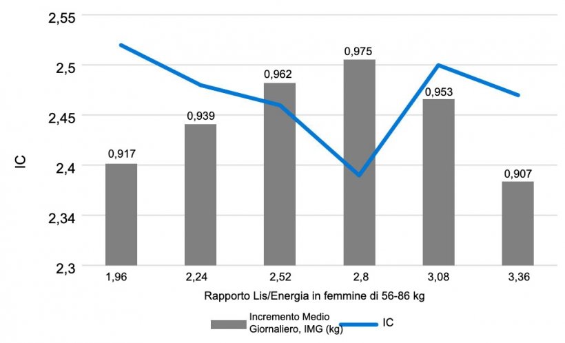 Grafico 1. Effetto del rapporto &nbsp;Lisina/Energia in femmine da&nbsp;56-86 Kg. Main, et al. 2002
