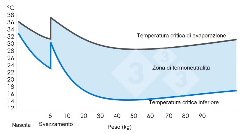 Grafico 1. Zona di e termoneutralit&agrave; o di confort termico&nbsp;(situazione in cui i suini si sentono confortevoli). Ministry of Agriculture, Fisheries and Food (1983). Pig Environment. Great Britain: MAFF. (Volume 2410).
