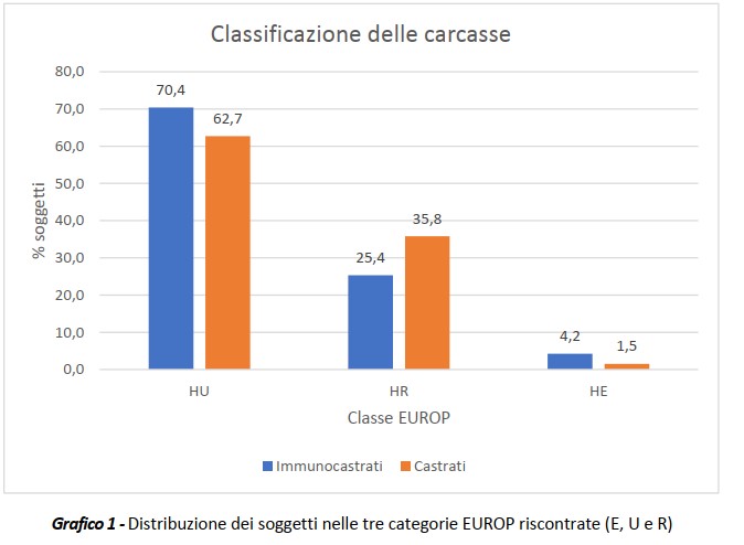 Distribuzione dei soggetti nelle tre categorie EUROP