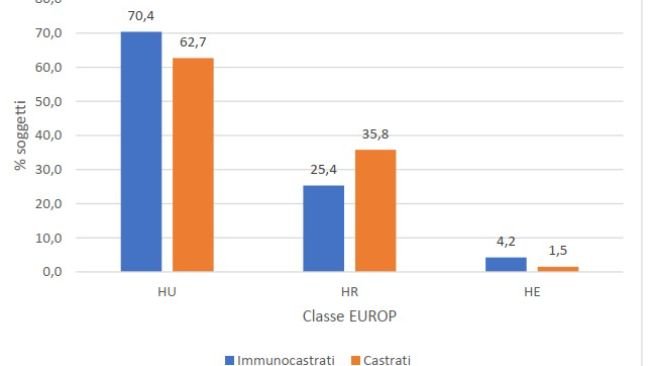 Trucco: vaccinazione senza pensieri - Articoli - 3tre3, la pagina del suino