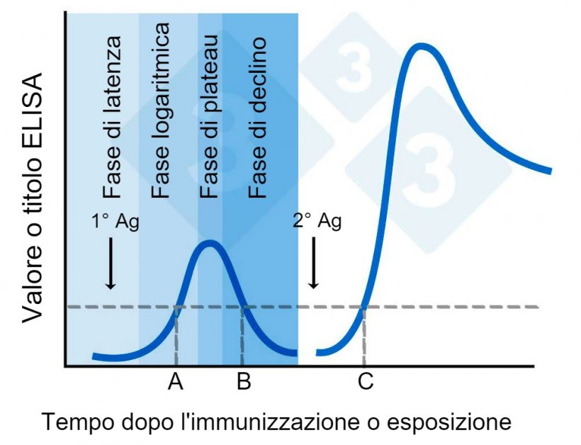 Figura 2. Valori o titoli ELISA dopo l&#39;immunizzazione.
