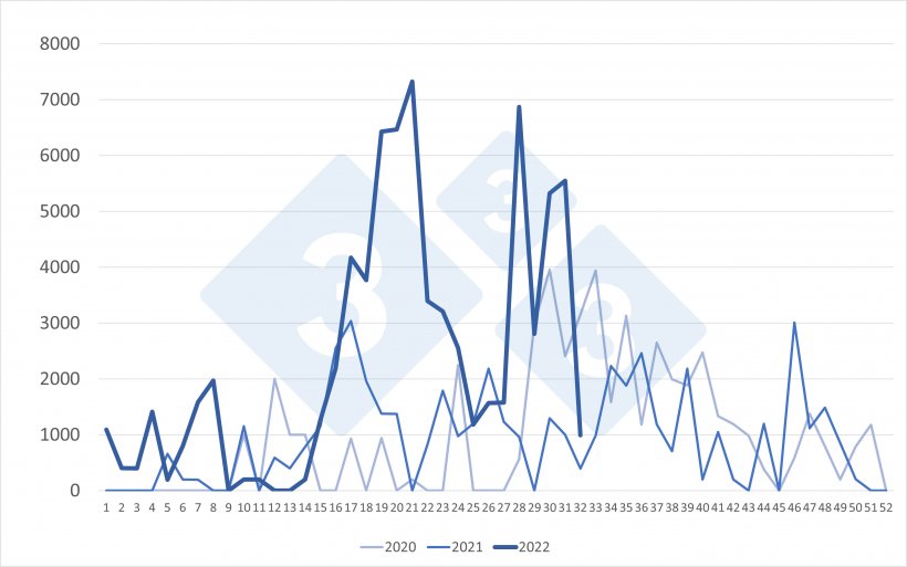 Importazioni settimanali di suini olandesi (capi). Fonte: 333 su dati RVO.
