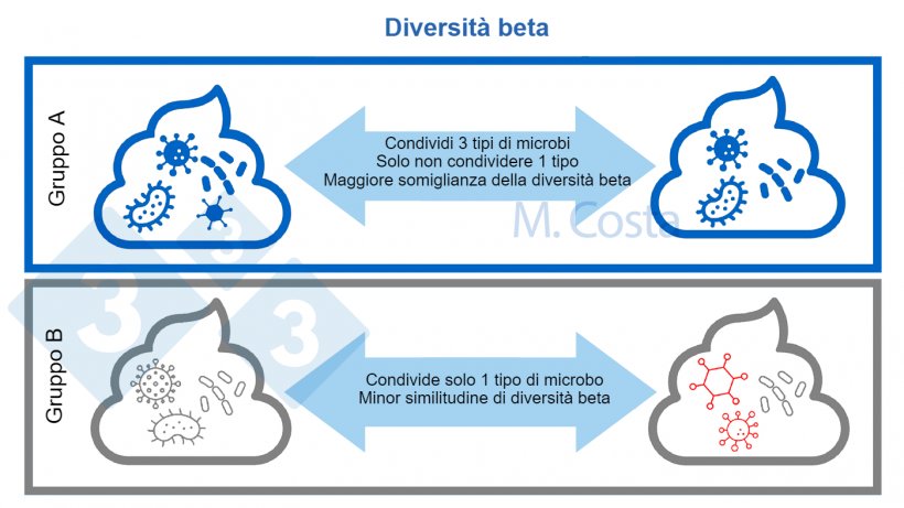 Figura 3. Comprensione dei cambiamenti nella composizione microbica tra i campioni (diversit&agrave; beta). Una comunit&agrave; microbica pi&ugrave; simile condivide pi&ugrave; tipi di microbi tra i campioni. Normalmente, per calcolare l&#39;indice di diversit&agrave; beta vengono presi in considerazione altri aspetti (come le relazioni genetiche tra i microbi).
