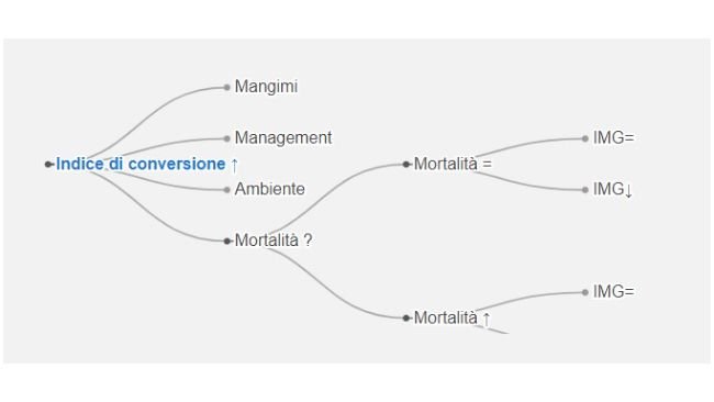 flusso indice di conversione