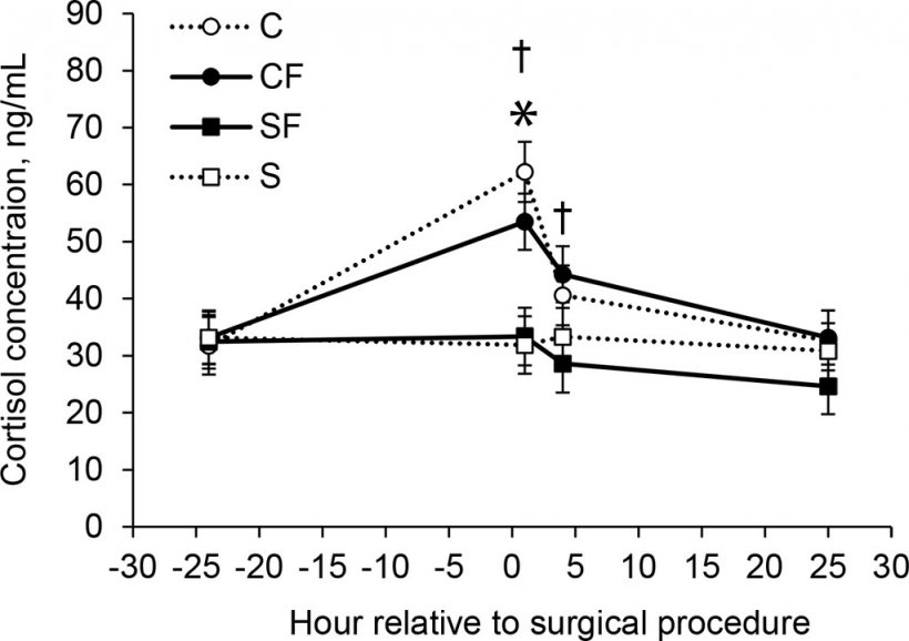 Figura 2.
Concentrazioni medie &plusmn; SEM di cortisolo per suinetti nei gruppi SF (n = 624), CF (n = 688), S (n = 528) e C (n = 516). *Le concentrazioni erano significativamente (P &le; .05) diverse tra i gruppi C e S. &dagger;Le concentrazioni erano significativamente (P &le; .05) diverse tra i gruppi CF e SF.

Fonte: American Journal of Veterinary Research 83, 9; 10.2460/ajvr.21.12.0201
