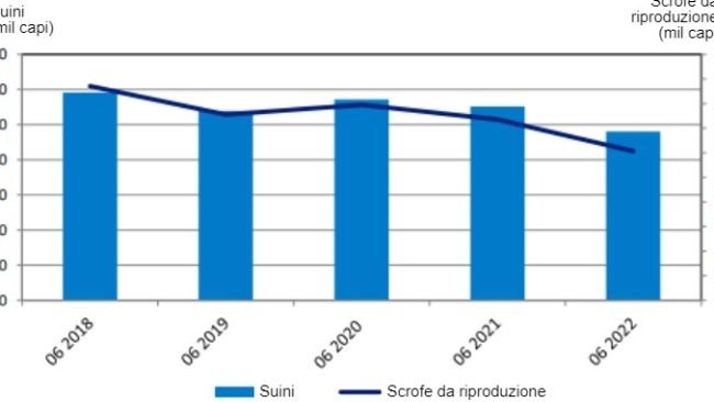 Evoluzione dei censimenti.