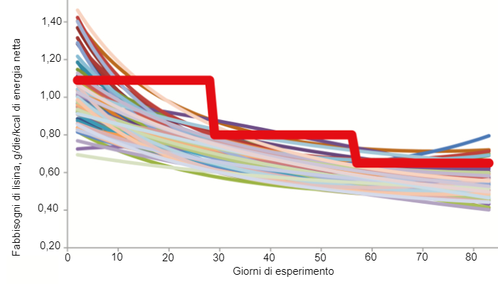 Figura 1. Fabbisogno stimato di lisina digeribile ileale dei singoli suini (linee colorate sottili) e livelli minimi di lisina digeribile ileale che devono essere ricevuti dai suini alimentati con un sistema di alimentazione di gruppo convenzionale a tre fasi (linea rossa in grassetto) secondo Hauschild et al. (2010).
