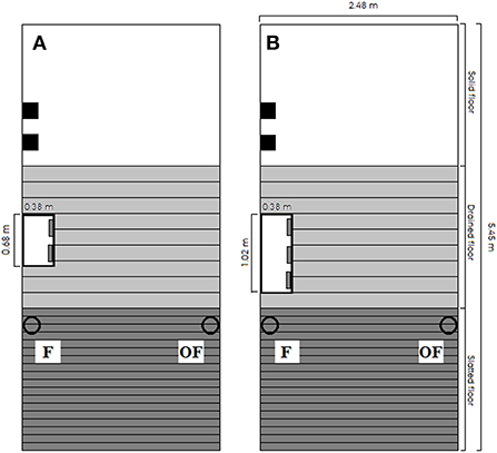 Figura 1. Disegno delle dimensioni e del design del boxc per (A) box con una densità di 1,21 m2/suino (11 suini) e (B) box con una densità di 0,73 m2/suino (18 suini). Il rettangolo bianco rappresenta l'alimentatore e i quadrati neri solidi rappresentano due travi di legno in rack verticali separati. I cerchi neri  rappresentano le tazze e tutti box includevano una tazza sullo stesso lato della mangiatoia (F) e una tazza sul lato opposto all'alimentatore (OF). Tutti box avevano le stesse dimensioni.