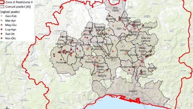psa