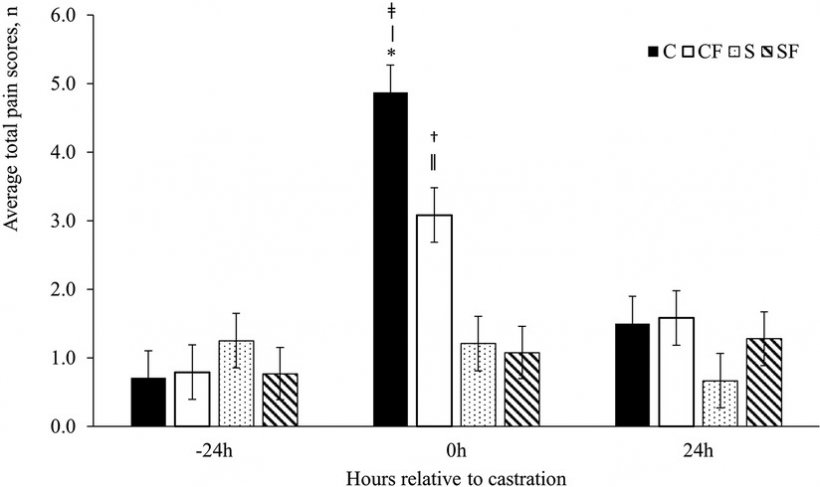 FIGURA 2. Punteggi medi ± SEM del dolore totale per i suinetti nei gruppi C, CF, S e SF. Timepoint (P 