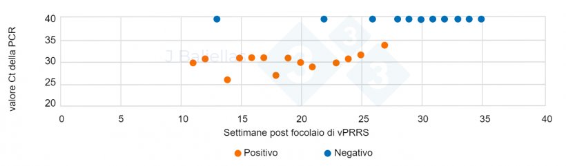 Figura 1. Evoluzione dei valori PCR Ct nelle settimane successive all&#39;episodio&nbsp;di PRRS.
