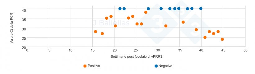 Figura 4. Evoluzione dei valori PCR Ct nelle settimane successive al focolaio&nbsp;di PRRS
