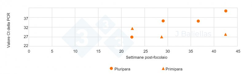 Figura 3. Evoluzione dei valori PCR Ct nelle settimane successive al &#39;episodo&nbsp;di PRRS di campioni di lingua di NM da scrofette e pluripare.
