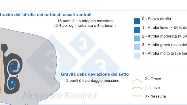 Metodo della Farmacopea Europea per la valutazione delle lesioni dei turbinati.
