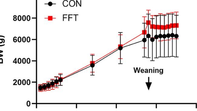 Figura 1. Curva di crescita basata sul peso corporeo giornaliero dei suini dal giorno 1 al giorno 35. I suini hanno ricevuto trapianto di filtrato fecale (FFT, n = 7-20) o soluzione fisiologica sterile (CON, n = 6-18). I dati sono espressi come media ± SD.