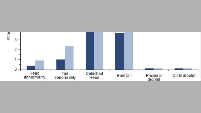 Effetto della vaccinazione dei verri positivi a PCV2 sulla morfologia spermatica