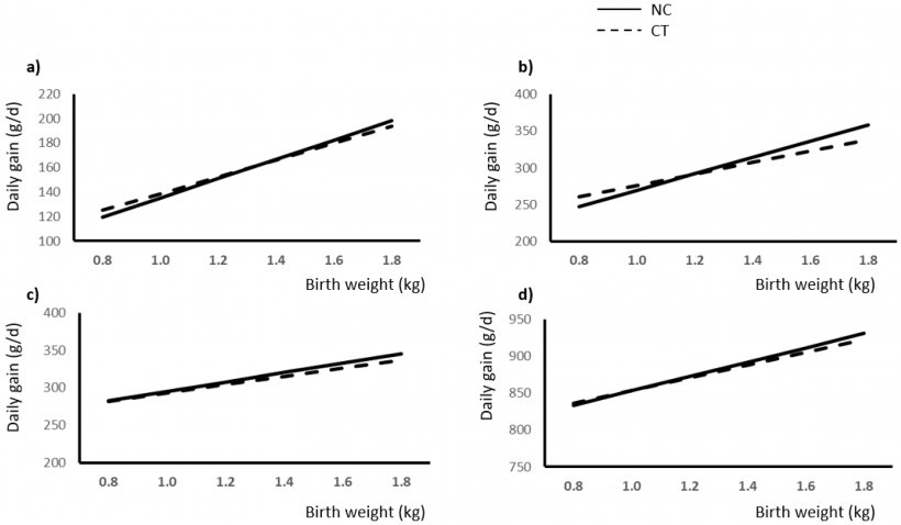 Figura 1.Relazione tra peso alla nascita (kg) e incremento giornaliero (g/d) in conseguenza della presenza (NC) o dell'assenza (CT) di cure neonatali durante: (a) prima settimana di lattazione; (b) lattazione tardiva (>7 giorni fino allo svezzamento); (c) suinetti svezzati (5 settimane dopo lo svezzamento); (d) periodo svezzamento-ingrasso